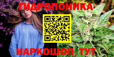 хмурый Нальчик